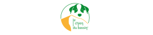 Le chien du bassin