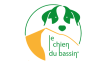 Le chien du bassin